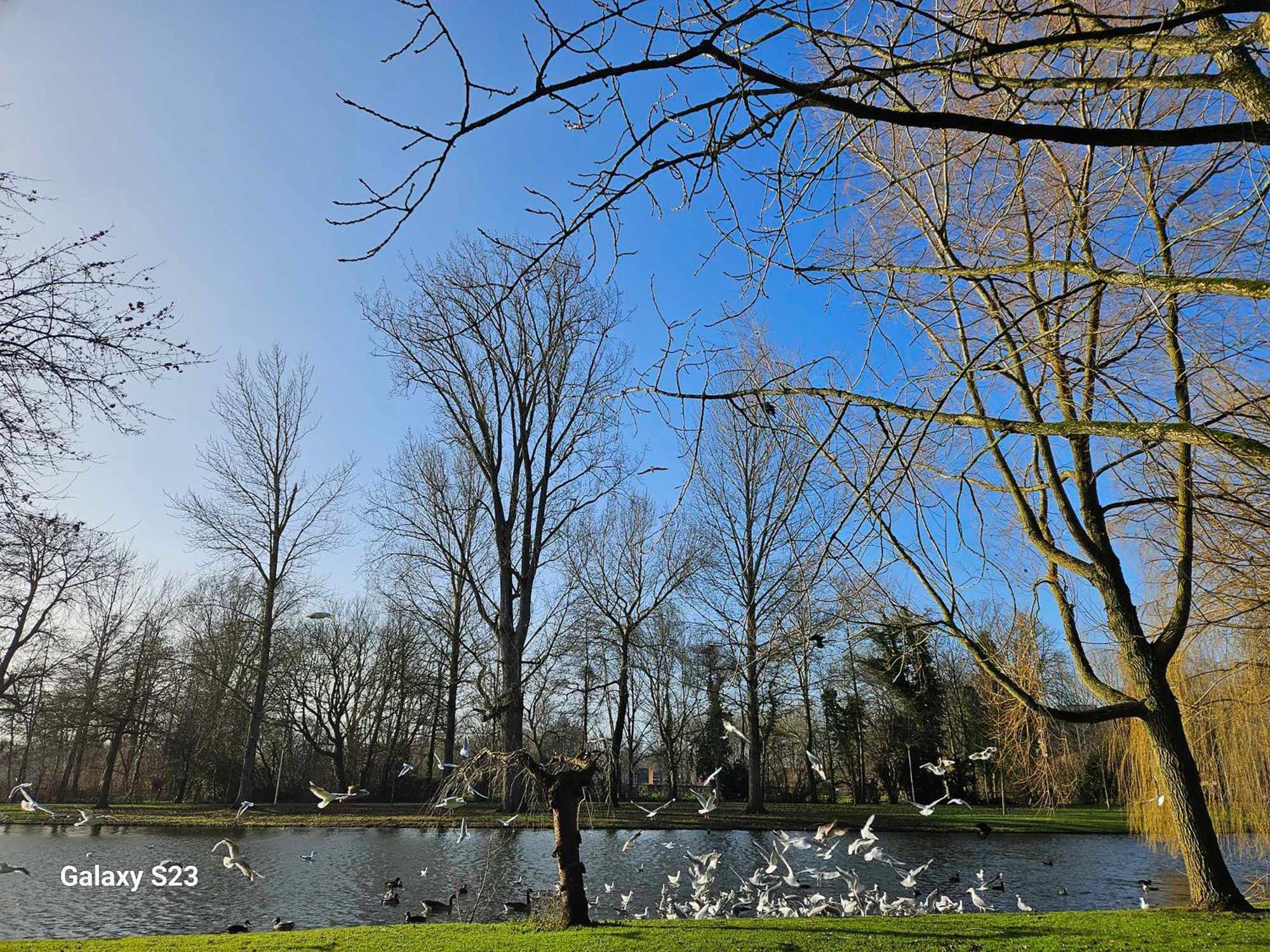 De Stadsboerderij Kampen Exterior foto